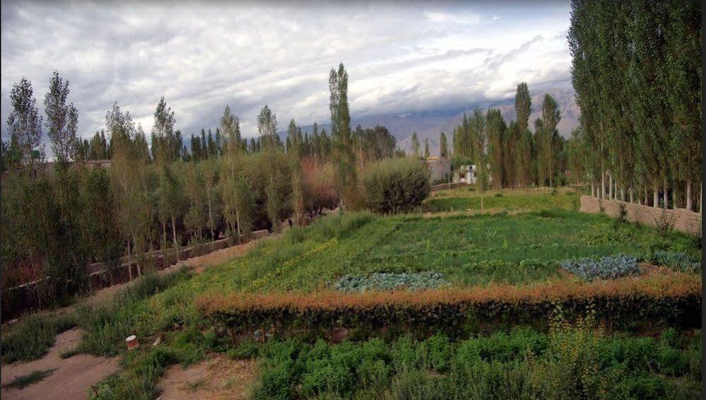 Hotel Ladakh Heaven Лех Екстер'єр фото