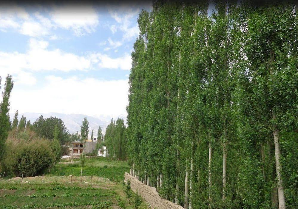 Hotel Ladakh Heaven Лех Екстер'єр фото