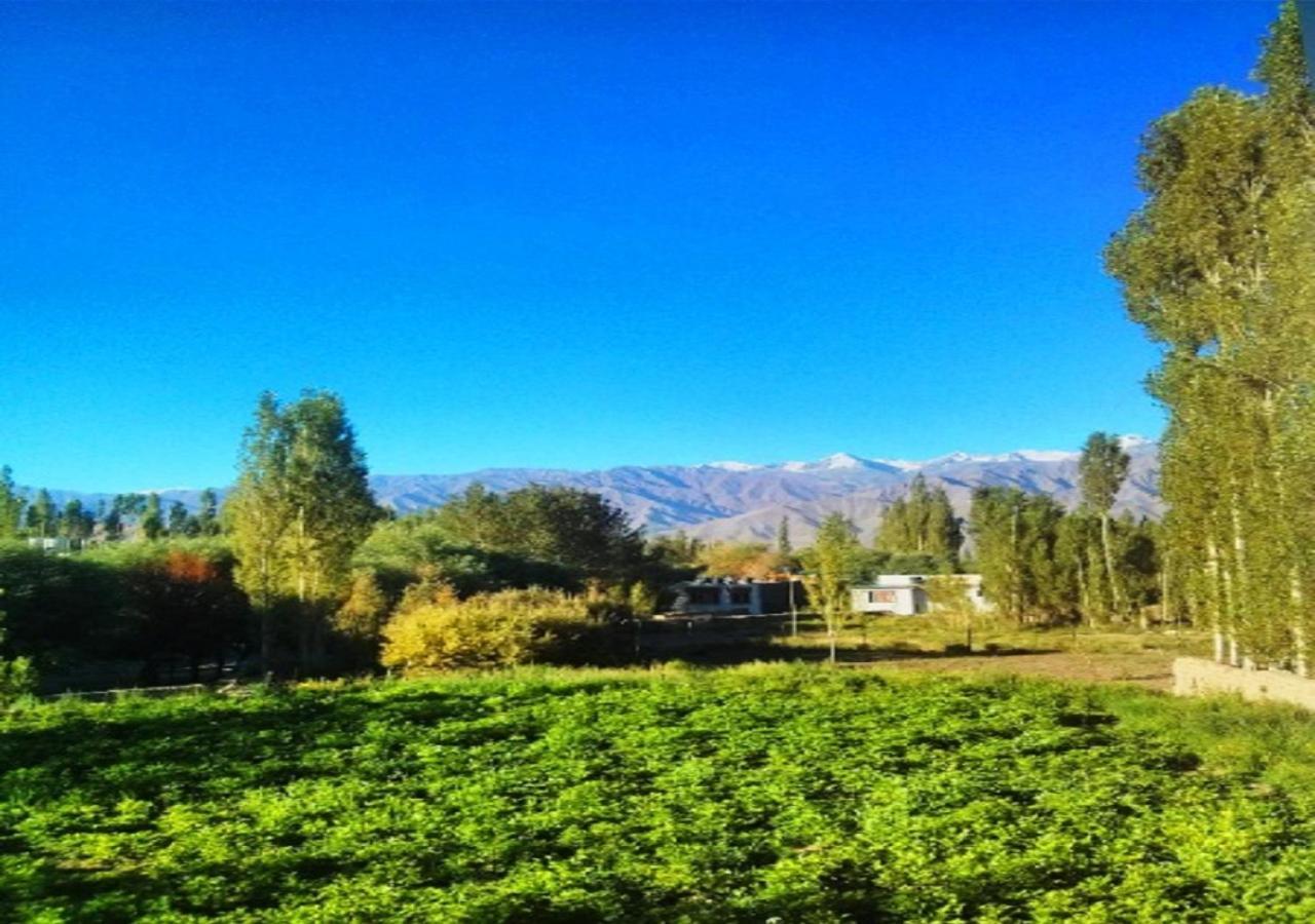 Hotel Ladakh Heaven Лех Екстер'єр фото