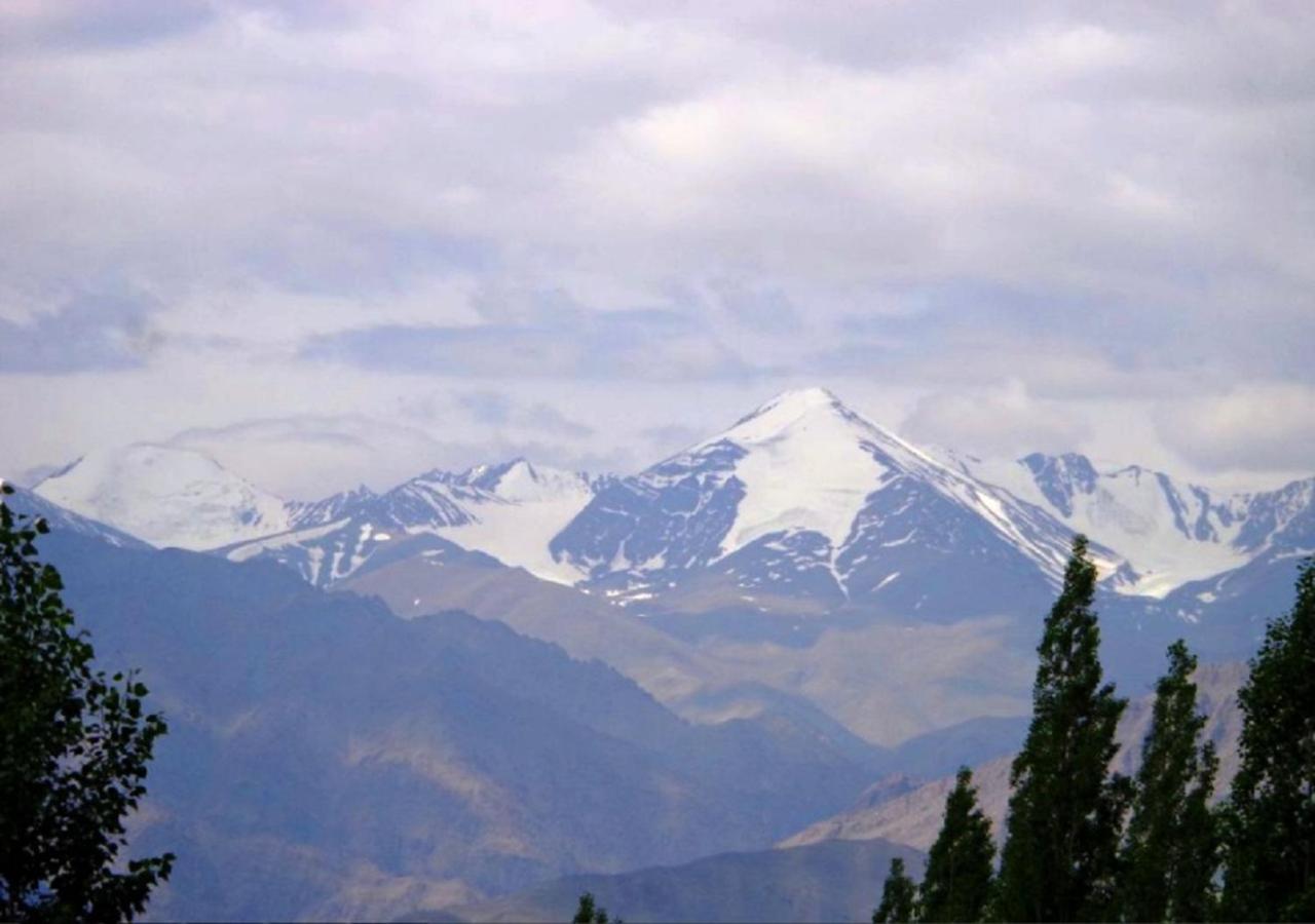 Hotel Ladakh Heaven Лех Екстер'єр фото
